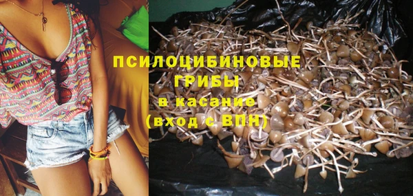 первитин Арсеньев